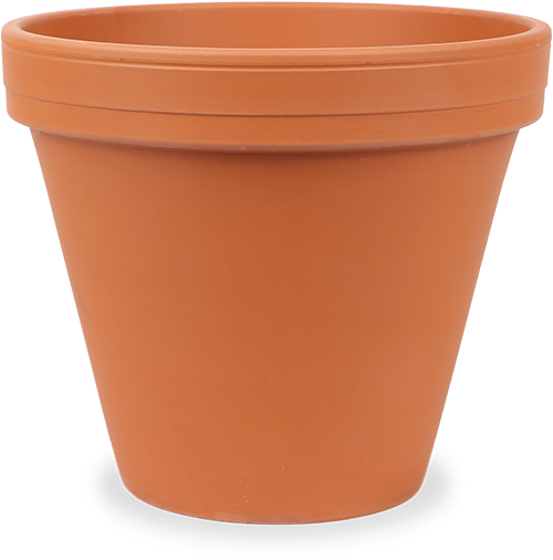 Stan pot (22cm)